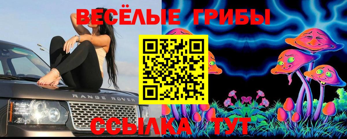 Кокаин  Бошки Шишки  Alpha-PVP СОЛЬ   Екатеринбург  Экстази  Меф МЯУ МЯУ  Меф МЯУ МЯУ   ГАШ  Вход с VPN  Кокаин 