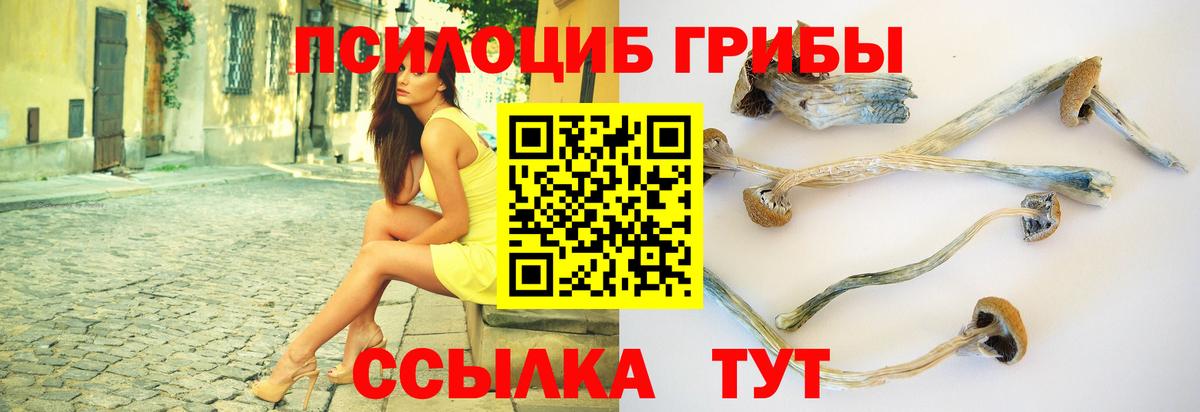 Псилоцибиновые грибы MAGIC MUSHROOMS  Галлюциногенные грибы Psilocybine cubensis  Вход с VPN  Екатеринбург 