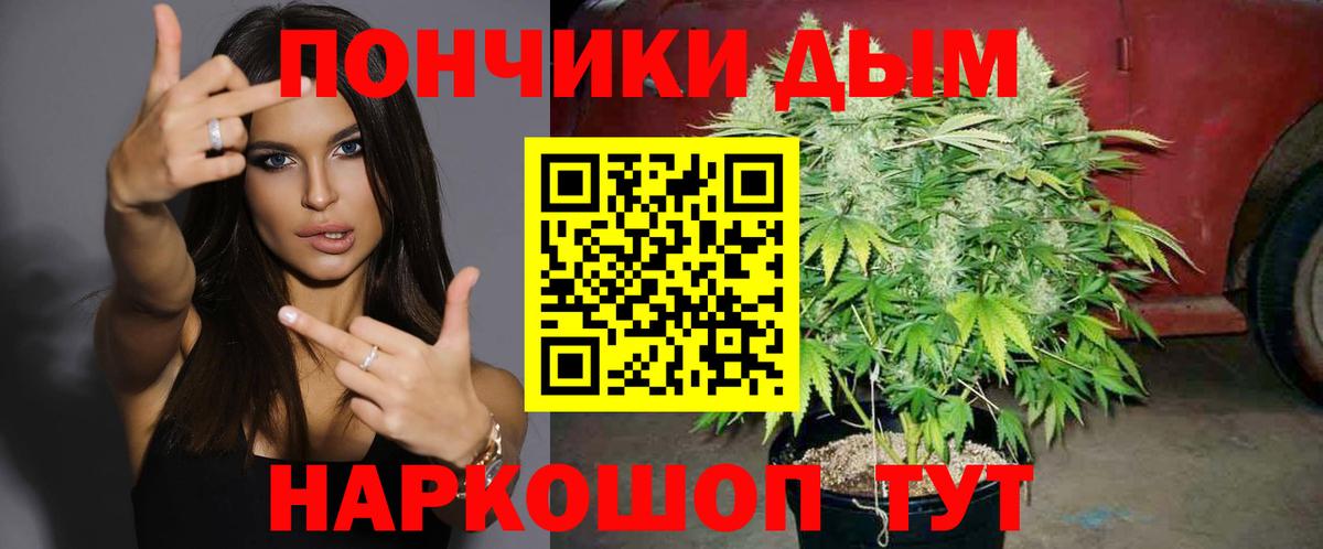 Бошки Шишки Amnesia Екатеринбург